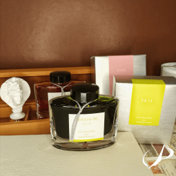 Encre Pilot Iroshizuku - Kiri-Same - chez Perreyon 1884 à Lyon. Iroshizuku