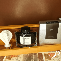 Encre Iroshizuku Pilot - Yama-Guri - chez Perreyon 1884 à Lyon.