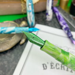 Stylos plume Esterbrook Camden chez Perreyon 1884 à Lyon.