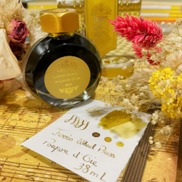 Encre Ferris Wheel Press pour stylo plume chez Perreyon 1884 à Lyon.