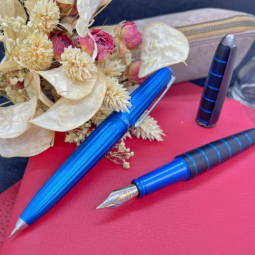 Stylo plume Diplomat Elox chez Perreyon 1884 à Lyon.