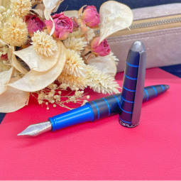 Stylo plume Diplomat Elox chez Perreyon 1884 à Lyon.