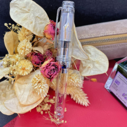 Stylo plume Sailor Professional Gear Transparent chez Perreyon 1884 à Lyon.