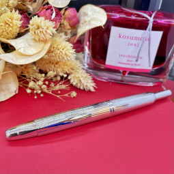 Stylo plume Pilot Capless chez Perreyon 1884 à Lyon.