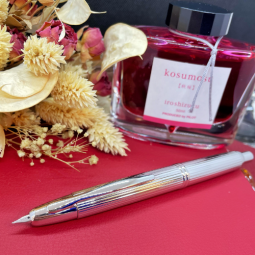 Stylo plume Pilot Capless chez Perreyon 1884 à Lyon.