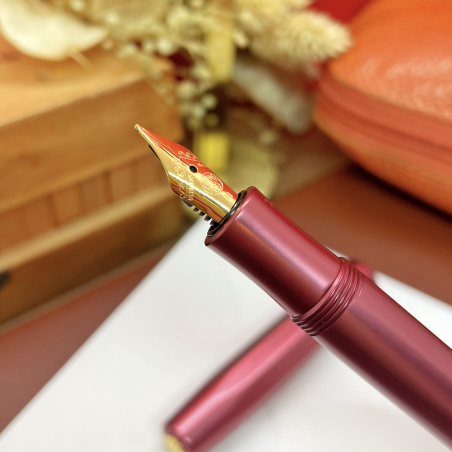Stylo Plume Aurora Sigaro Marron édition Limitée 2016 - Plume F, Quasi Neuf Avec Boîte