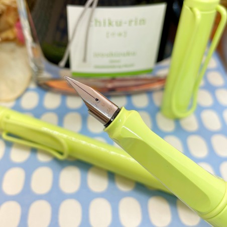 Stylo plume LAMY Safari Harry Potter Slytherin - Édition spéciale