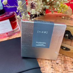 Cartouches d'encre Iroshizuku de Pilot - teinte Fuyu-Syogun - chez Perreyon 1884 à Lyon.