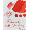 Encre Diamine Wild Strawberry pour stylo plume chez Perreyon 1884 à Lyon.