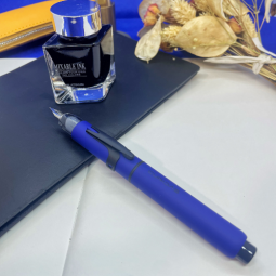 Stylo plume Curidas édition limitée de Platinum chez Perreyon 1884 à Lyon.