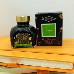 Encre Diamine Meadow pour stylo plume chez Perreyon 1884 à Lyon.